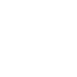 Medical Report