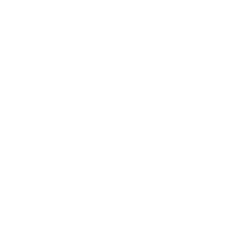 Meeting